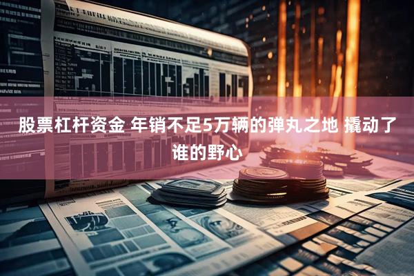 股票杠杆资金 年销不足5万辆的弹丸之地 撬动了谁的野心