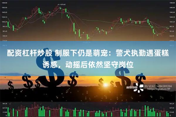 配资杠杆炒股 制服下仍是萌宠：警犬执勤遇蛋糕诱惑，动摇后依然坚守岗位