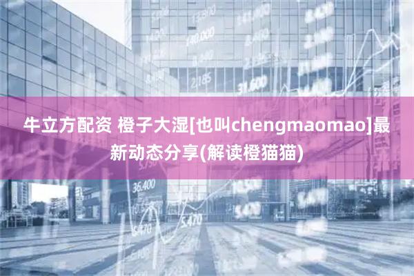 牛立方配资 橙子大湿[也叫chengmaomao]最新动态分享(解读橙猫猫)