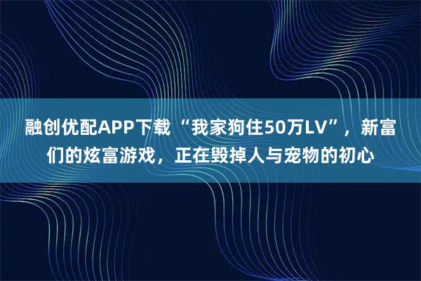 融创优配APP下载 “我家狗住50万LV”，新富们的炫富游戏，正在毁掉人与宠物的初心