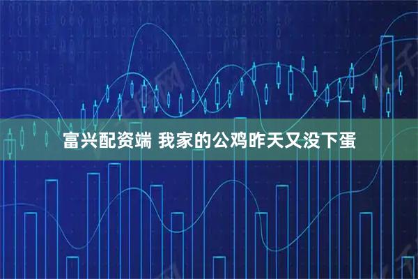 富兴配资端 我家的公鸡昨天又没下蛋
