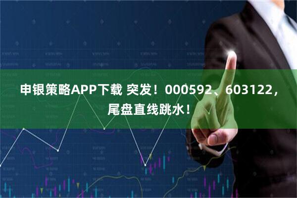 申银策略APP下载 突发！000592、603122，尾盘直线跳水！