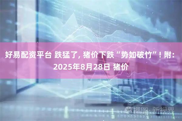 好易配资平台 跌猛了, 猪价下跌“势如破竹”! 附: 2025年8月28日 猪价