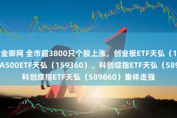 金御网 全市超3800只个股上涨，创业板ETF天弘（159977）、中证A500ETF天弘（159360）、科创综指ETF天弘（589860）集体走强