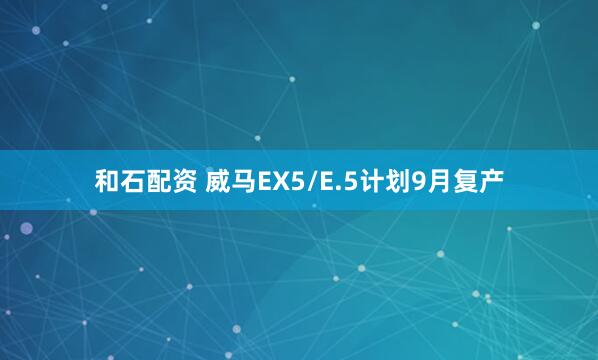 和石配资 威马EX5/E.5计划9月复产