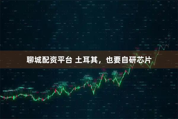 聊城配资平台 土耳其，也要自研芯片