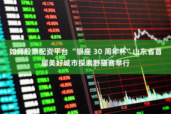 如何股票配资平台 “银座 30 周年杯”山东省首届美好城市探索野猫赛举行
